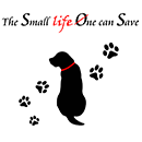 The Small life One can Save